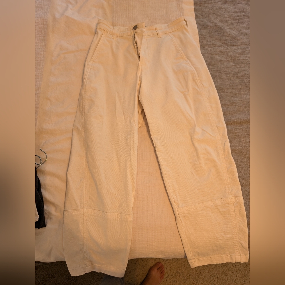 EVERLANE The Utility Barrel Pant